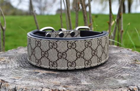 gucci dog|authentic gucci dog collar.